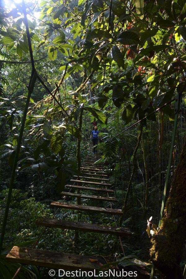 Ciudad De Las Rocas La Fortuna Gallo Giro Bagian luar foto