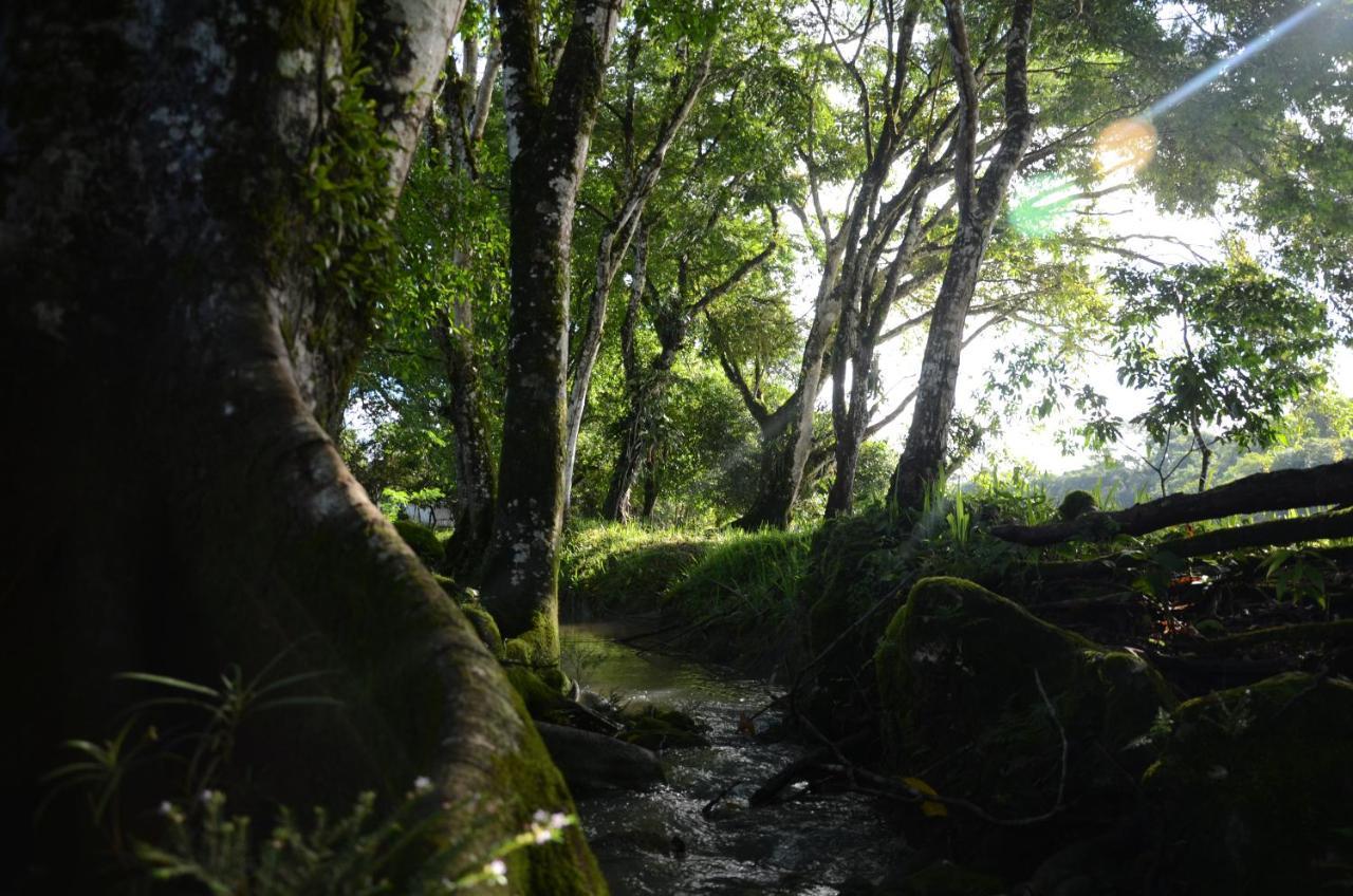 Ciudad De Las Rocas La Fortuna Gallo Giro Bagian luar foto